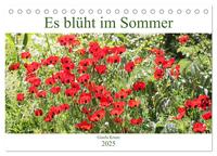 Es blüht im Sommer (Tischkalender 2025 DIN A5 quer), CALVENDO Monatskalender