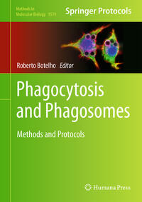 Phagocytosis and Phagosomes