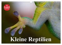 Kleine Reptilien (Wandkalender 2025 DIN A3 quer), CALVENDO Monatskalender