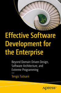 Effective Software Development for the Enterprise