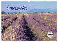 Lavendel (Wandkalender 2025 DIN A2 quer), CALVENDO Monatskalender