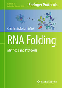 RNA Folding