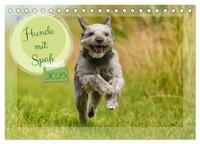 Hunde mit Spaß (Tischkalender 2025 DIN A5 quer), CALVENDO Monatskalender