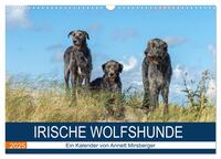 Irische Wolfshunde (Wandkalender 2025 DIN A3 quer), CALVENDO Monatskalender