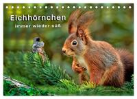 Eichhörnchen - immer wieder süß (Tischkalender 2025 DIN A5 quer), CALVENDO Monatskalender