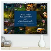 Wilde Pilze: Ein Kalender für Naturbegeisterte (hochwertiger Premium Wandkalender 2025 DIN A2 quer), Kunstdruck in Hochglanz