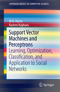 Support Vector Machines and Perceptrons