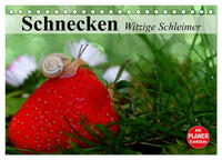 Schnecken. Witzige Schleimer (Tischkalender 2025 DIN A5 quer), CALVENDO Monatskalender