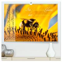 Im Goldenen Glanz der Sonnenblume (hochwertiger Premium Wandkalender 2025 DIN A2 quer), Kunstdruck in Hochglanz