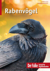 Rabenvögel