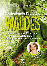 Die heilende Kraft des Waldes