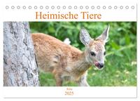 Heimische Tiere - Rehe (Tischkalender 2025 DIN A5 quer), CALVENDO Monatskalender