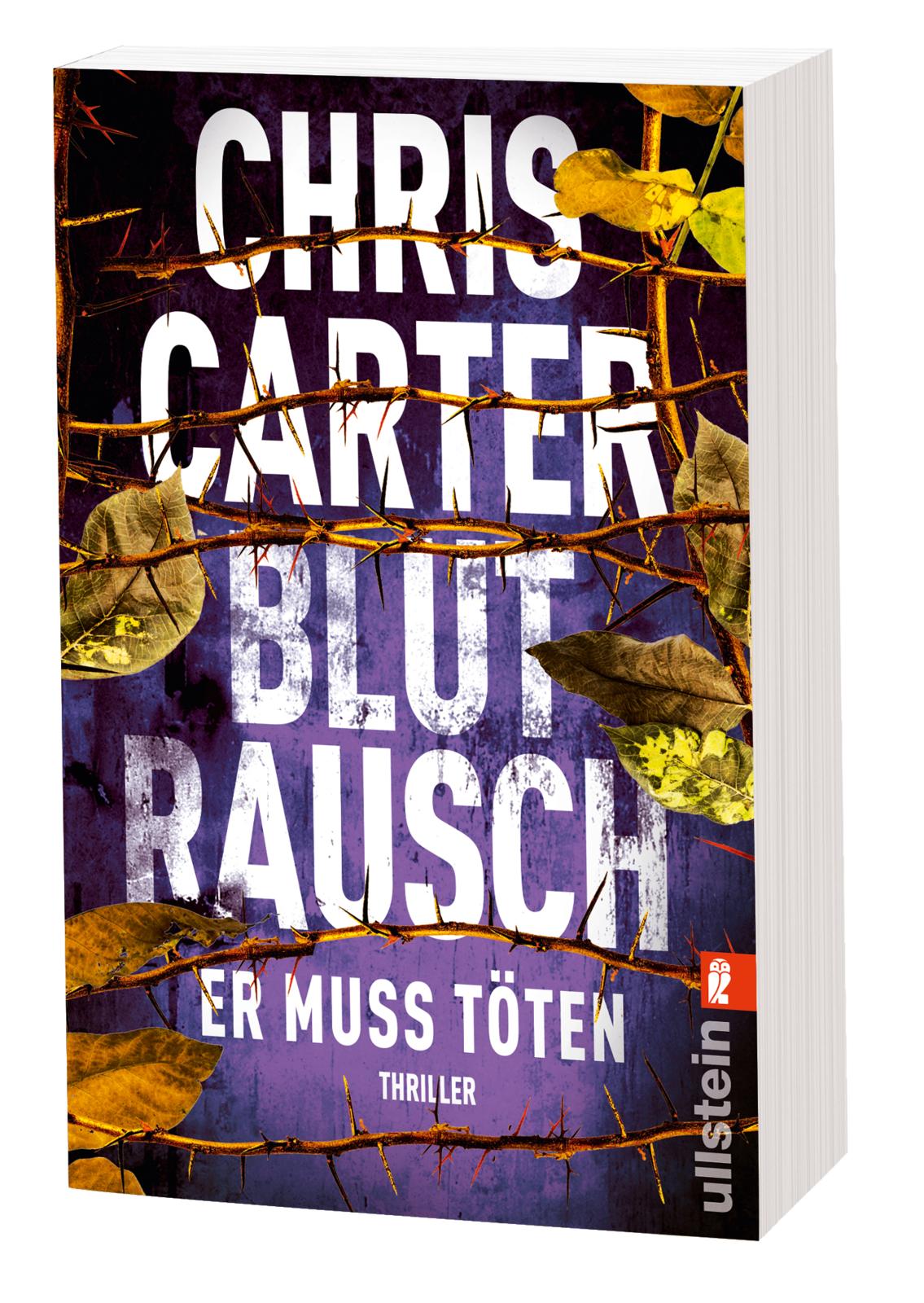 Blutrausch - Er muss töten (Ein Hunter-und-Garcia-Thriller 9)