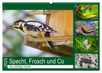 Specht, Frosch und Co - eine vielfältige Tierwelt (Wandkalender 2025 DIN A2 quer), CALVENDO Monatskalender