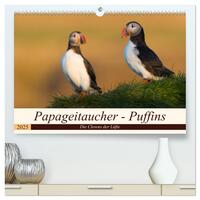 Papageitaucher - Puffins (hochwertiger Premium Wandkalender 2025 DIN A2 quer), Kunstdruck in Hochglanz