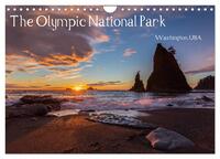 The Olympic National Park - Washington USA (Wandkalender 2025 DIN A4 quer), CALVENDO Monatskalender