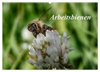 Arbeitsbienen (Wandkalender 2025 DIN A2 quer), CALVENDO Monatskalender