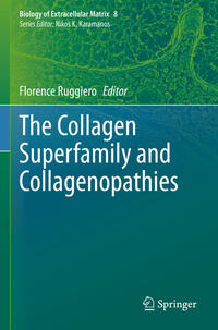 The Collagen Superfamily and Collagenopathies