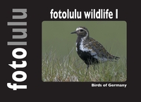 fotolulu wildlife I