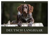 Faszination Jagdhund - Deutsch Langhaar (Wandkalender 2025 DIN A2 quer), CALVENDO Monatskalender