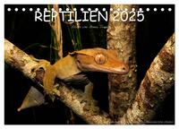 REPTILIEN (Tischkalender 2025 DIN A5 quer), CALVENDO Monatskalender