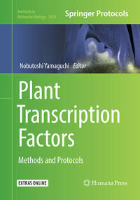 Plant Transcription Factors