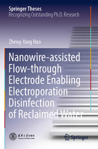 Nanowire-assisted Flow-through Electrode Enabling Electroporation Disinfection of Reclaimed Water