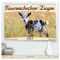 Tauernschecken-Ziegen (hochwertiger Premium Wandkalender 2025 DIN A2 quer), Kunstdruck in Hochglanz