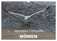 Spontane Fotografie - Möwen (Wandkalender 2025 DIN A3 quer), CALVENDO Monatskalender