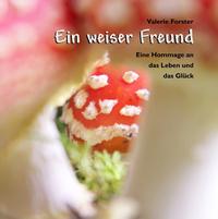 Ein weiser Freund