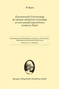 Experimentelle Untersuchung des laminar-turbulenten Umschlags an einer parallel angeströmten konkaven Wand