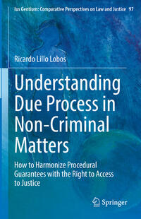 Understanding Due Process in Non-Criminal Matters