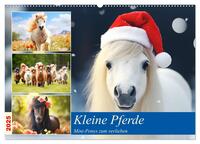 Kleine Pferde. Mini-Ponys zum verlieben (Wandkalender 2025 DIN A2 quer), CALVENDO Monatskalender