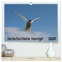 Nordatlantische Seevögel (hochwertiger Premium Wandkalender 2025 DIN A2 quer), Kunstdruck in Hochglanz