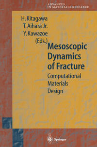 Mesoscopic Dynamics of Fracture