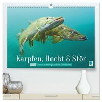 Karpfen, Hecht und Stör: Fische in europäischen Gewässern (hochwertiger Premium Wandkalender 2025 DIN A2 quer), Kunstdruck in Hochglanz