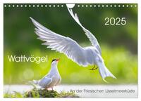 Wattvögel an der Friesischen IJsselmeerküste (Wandkalender 2025 DIN A4 quer), CALVENDO Monatskalender