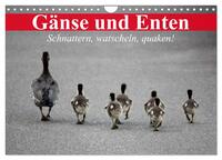 Gänse und Enten. Schnattern, watscheln, quaken! (Wandkalender 2025 DIN A4 quer), CALVENDO Monatskalender