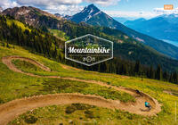 Best of Mountainbike 2025