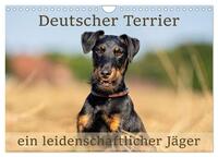 Deutscher Terrier - ein leidenschaftlicher Jäger (Wandkalender 2025 DIN A4 quer), CALVENDO Monatskalender