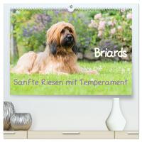 Briards - sanfte Riesen mit Temperament (hochwertiger Premium Wandkalender 2025 DIN A2 quer), Kunstdruck in Hochglanz