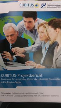 CUBITUS-Projektbericht