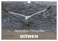 Spontane Fotografie - Möwen (Wandkalender 2025 DIN A4 quer), CALVENDO Monatskalender