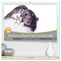 Rattenscharf und zuckersüß (hochwertiger Premium Wandkalender 2025 DIN A2 quer), Kunstdruck in Hochglanz