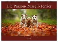 Die Parson-Russell-Terrier ...mit neuen Abenteuern aus der Hundeknipserei (Wandkalender 2025 DIN A3 quer), CALVENDO Monatskalender