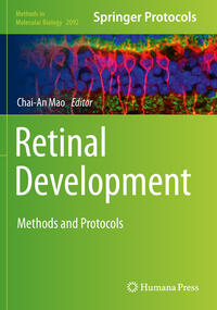 Retinal Development