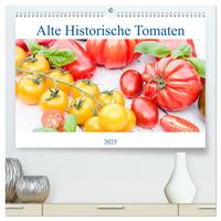 Alte Historische Tomaten (hochwertiger Premium Wandkalender 2025 DIN A2 quer), Kunstdruck in Hochglanz