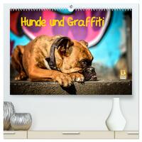 Hunde und Graffiti (hochwertiger Premium Wandkalender 2025 DIN A2 quer), Kunstdruck in Hochglanz