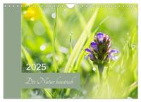 Die Natur hautnah (Wandkalender 2025 DIN A4 quer), CALVENDO Monatskalender