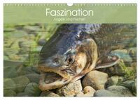 Faszination Angeln und Fischen (Wandkalender 2025 DIN A3 quer), CALVENDO Monatskalender